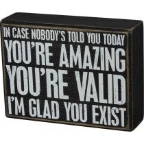 Primitives By Kathy In Case Nobody's Told You Today - You're Amazing - You're Vaild - I'm Glad You Exist Box Sign Box Signs