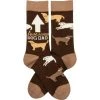 Primitives By Kathy Socks! Socks! Socks! Awesome Dog Dad Socks