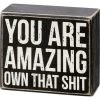 Primitives By Kathy Box Signs You Are Amazing Own That Box Sign