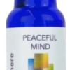 Wyndmere Naturals Aromatherapy Gifts Peaceful Mind Synergistic Blend ~ 10ml (1/3 Oz)