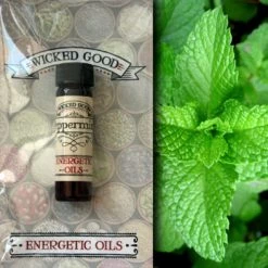 Coventry Creations Fragrance Oils & Diffusers Peppermint ~ Wicked Good Energetic Oil (2 Dram; 7 Ml)