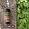 Coventry Creations Fragrance Oils & Diffusers Sandalwood ~ Wicked Good Energetic Oil (2 Dram; 7 Ml) 2 Coventry Creations Fragrance Oils & Diffusers Sandalwood ~ Wicked Good Energetic Oil (2 Dram; 7 Ml)