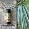 Coventry Creations Vanilla ~ Wicked Good Energetic Oil (2 Dram; 7 Ml)