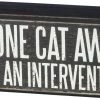 Primitives By Kathy Box Signs I'm One Cat Away From An Intervention Box Sign