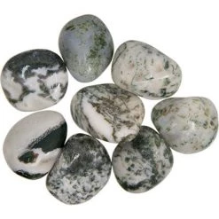 Kheops International Tree Agate Tumbled Stone