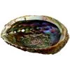 Kheops International Abalone Shell Smudging Tools & Accessories
