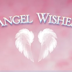 US Games Systems Angel Wishes Cards Metaphysical & Divination Gifts