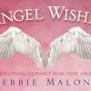 US Games Systems Angel Wishes Cards Metaphysical & Divination Gifts