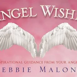 US Games Systems Angel Wishes Cards Metaphysical & Divination Gifts