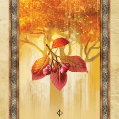 US Games Systems Celtic Tree Oracle Cards Metaphysical & Divination Gifts