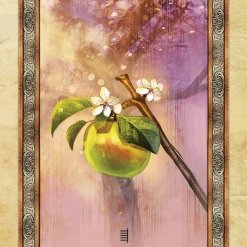 US Games Systems Celtic Tree Oracle Cards Metaphysical & Divination Gifts 12 US Games Systems Celtic Tree Oracle Cards Metaphysical & Divination Gifts