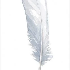 US Games Systems Divine Feather Messenger Cards Metaphysical & Divination Gifts 10 US Games Systems Divine Feather Messenger Cards Metaphysical & Divination Gifts