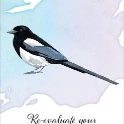 US Games Systems Divine Feather Messenger Cards Metaphysical & Divination Gifts 9 US Games Systems Divine Feather Messenger Cards Metaphysical & Divination Gifts