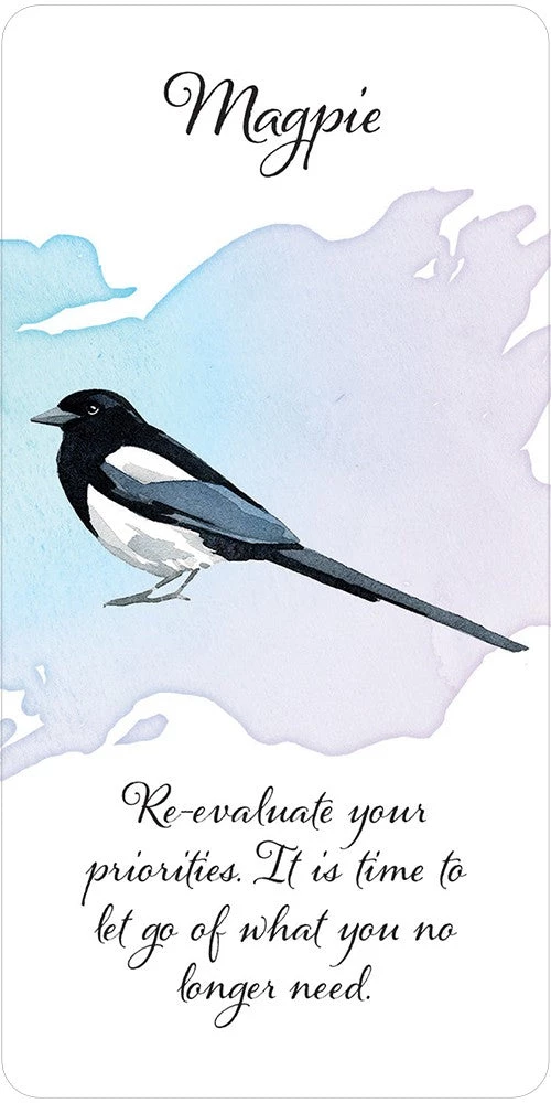 US Games Systems Divine Feather Messenger Cards Metaphysical & Divination Gifts 5 US Games Systems Divine Feather Messenger Cards Metaphysical & Divination Gifts