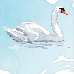 US Games Systems Divine Feather Messenger Cards Metaphysical & Divination Gifts 11 US Games Systems Divine Feather Messenger Cards Metaphysical & Divination Gifts