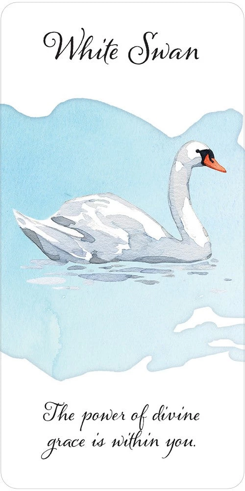 US Games Systems Divine Feather Messenger Cards Metaphysical & Divination Gifts 7 US Games Systems Divine Feather Messenger Cards Metaphysical & Divination Gifts