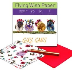 GIRL GANG Mini Flying Wish Paper Kit