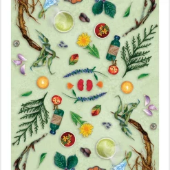 US Games Systems The Herbcrafter’s Tarot Card Deck Metaphysical & Divination Gifts 24 US Games Systems The Herbcrafter’s Tarot Card Deck Metaphysical & Divination Gifts