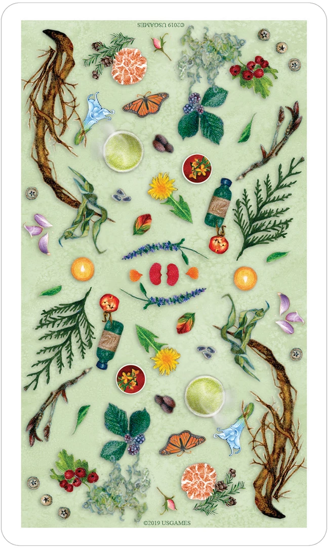 US Games Systems The Herbcrafter’s Tarot Card Deck Metaphysical & Divination Gifts 13 US Games Systems The Herbcrafter’s Tarot Card Deck Metaphysical & Divination Gifts