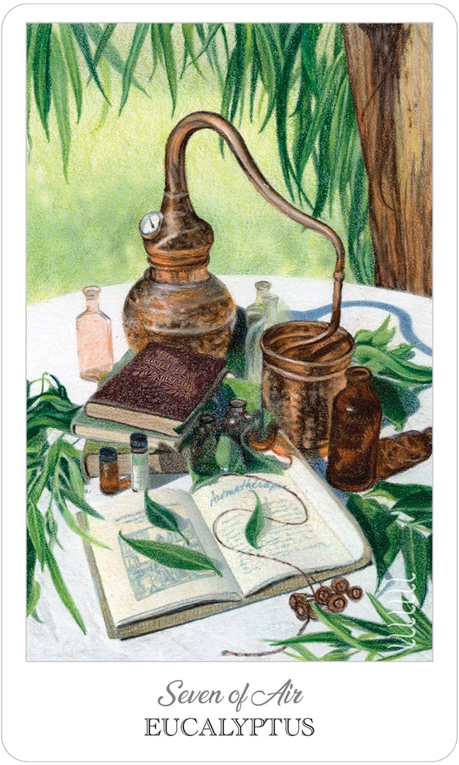 US Games Systems The Herbcrafter’s Tarot Card Deck Metaphysical & Divination Gifts 8 US Games Systems The Herbcrafter’s Tarot Card Deck Metaphysical & Divination Gifts
