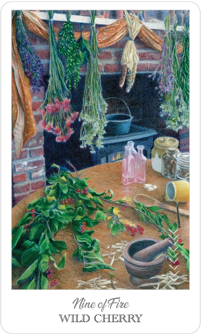 US Games Systems The Herbcrafter’s Tarot Card Deck Metaphysical & Divination Gifts 11 US Games Systems The Herbcrafter’s Tarot Card Deck Metaphysical & Divination Gifts