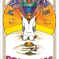 US Games Systems Metaphysical & Divination Gifts Medicine Woman Tarot Cards Deck