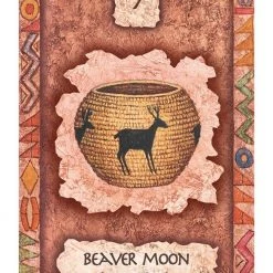 US Games Systems Shaman Wisdom Cards Deck 9 US Games Systems Shaman Wisdom Cards Deck