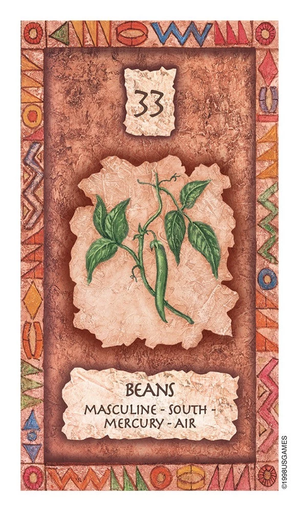 US Games Systems Shaman Wisdom Cards Deck 5 US Games Systems Shaman Wisdom Cards Deck