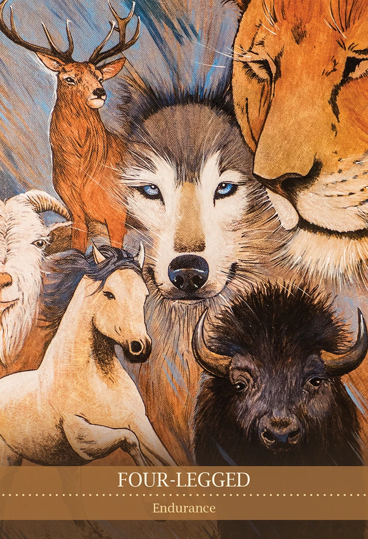 US Games Systems Metaphysical & Divination Gifts Shamanic Medicine Oracle Cards 8 US Games Systems Metaphysical & Divination Gifts Shamanic Medicine Oracle Cards