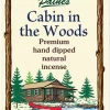 Paine's Incense Incense & Accessories 20 Cabin In The Woods Scented Long Stick Incense
