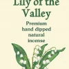 Paine's Incense 20 Summer Lily Of The Valley Scented Long Stick Incense Incense & Accessories