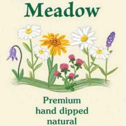 Paine's Incense 20 Meadow Scented Long Stick Incense
