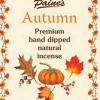Paine's Incense 20 Autumn Scented Long Stick Incense Incense & Accessories