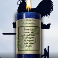 Coventry Creations Intuition Affirmation ~ Blessed Herbal Candle