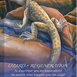 New Leaf Distributing Spirit Of The Animals Oracle Cards & Guidebook Metaphysical & Divination Gifts