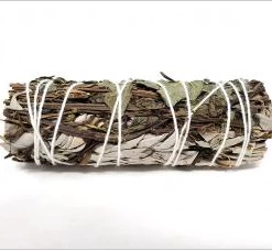 New Age Imports Peppermint & White Sage Mix Smudging Bundle - 4"L