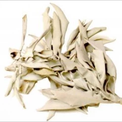 New Age Imports Smudging Tools & Accessories White Sage Loose Leaves - Bulk 5 Oz
