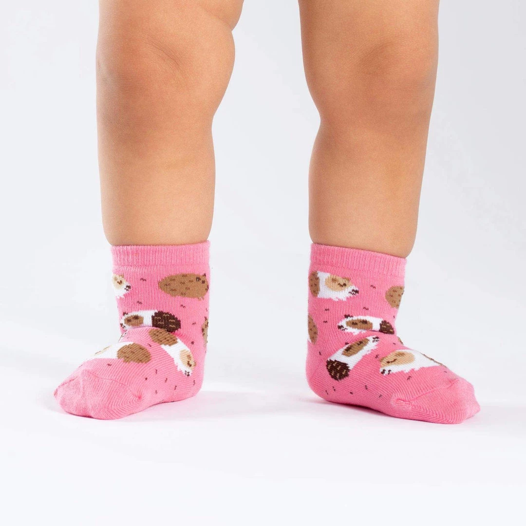 Sock It To Me Guinea Piggin' Around Toddler Crew Socks Socks! Socks! Socks! 3 Sock It To Me Guinea Piggin' Around Toddler Crew Socks Socks! Socks! Socks!