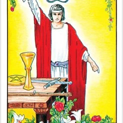 US Games Systems Metaphysical & Divination Gifts Universal Waite® Premier Edition Tarot Deck