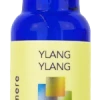 Wyndmere Naturals Ylang Ylang ~ 10ml (1/3 Oz) Aromatherapy Gifts 1 Wyndmere Naturals Ylang Ylang ~ 10ml (1/3 Oz) Aromatherapy Gifts