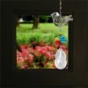 Woodstock Chimes Bird ~ Crystal Fantasy Suncatcher