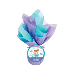 Bolli & Fritz Mermaid Adventure Chill Pill ~ Color-Changing Bath Fizzies (+ Shipping) Bath & Body