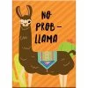 NMR No Prob-Llama Flat Magnet