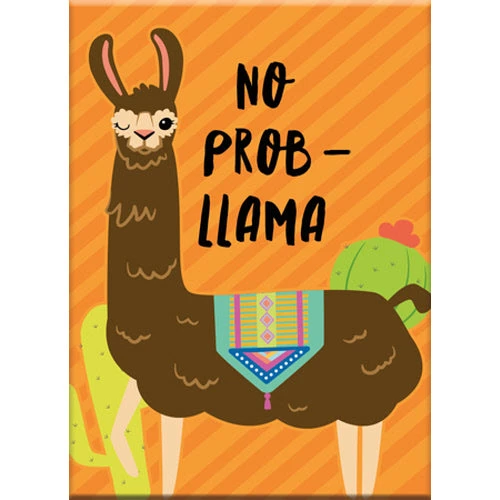 NMR No Prob-Llama Flat Magnet 3 NMR No Prob-Llama Flat Magnet